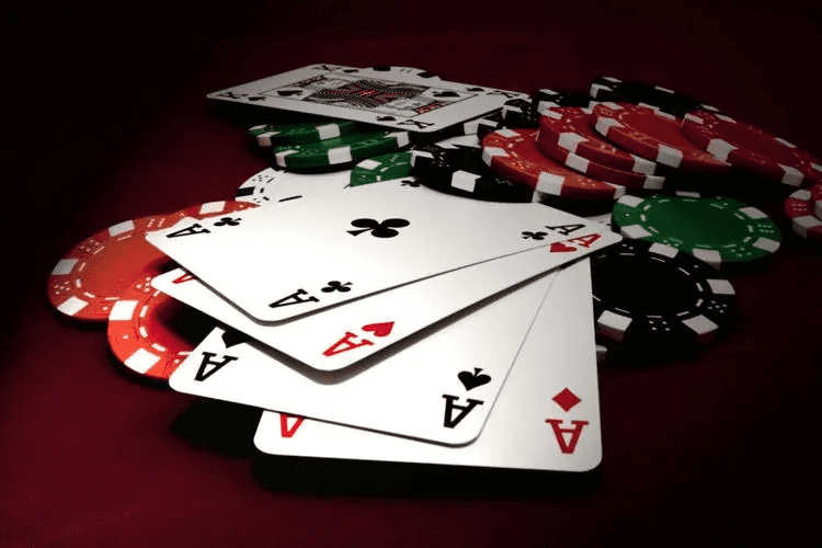 dompg - App Oficial Bet