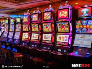 dompg - Registro Bet Login